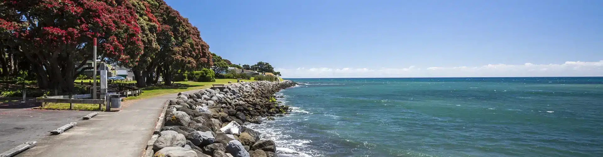 New Plymouth